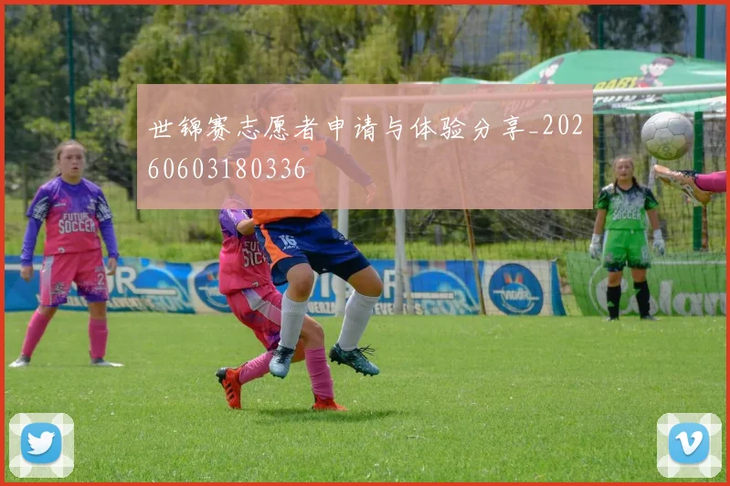 世锦赛志愿者申请与体验分享_20260603180336