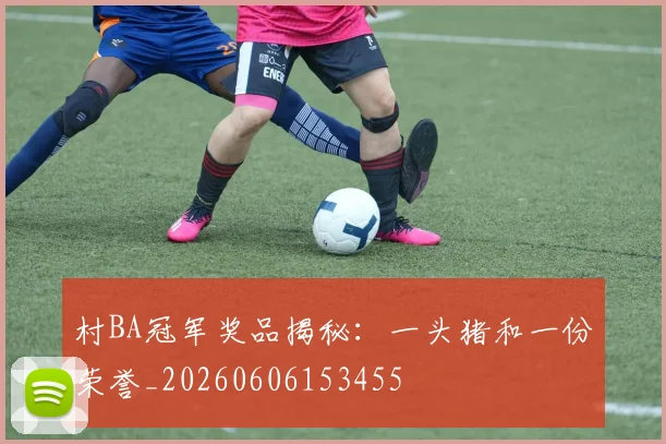 村BA冠军奖品揭秘：一头猪和一份荣誉_20260606153455