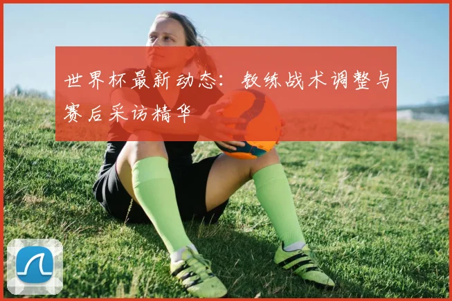 世界杯最新动态：教练战术调整与赛后采访精华